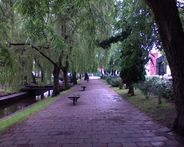Szczecinek1