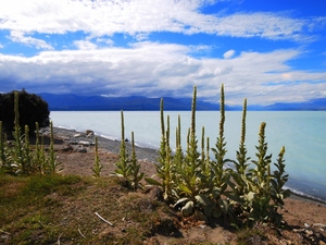 Jezioro Pukaki