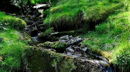 Dolina Grwyne Fawr