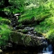 Dolina Grwyne Fawr