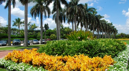okolice Palm Beach