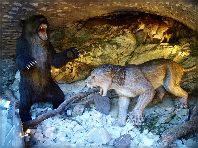 Jaskinia Niedźwiedzia