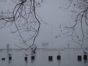 Listopadowy poranek nad jeziorem trzesiecko szczecinek