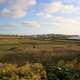 pola golfowe w Newquey