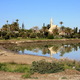 Hala Sultan Tekke w zasięgu ręki