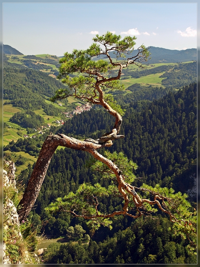 Pieniny