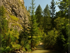 Pieniny