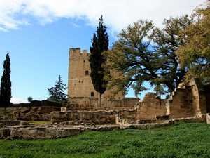 Zamek kolossi 