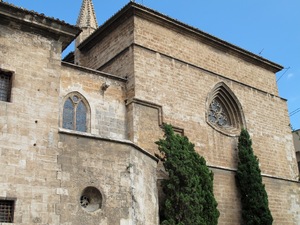 okna katedry