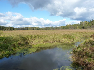 W drodze do Topiła