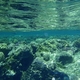 16 rafa koralowa