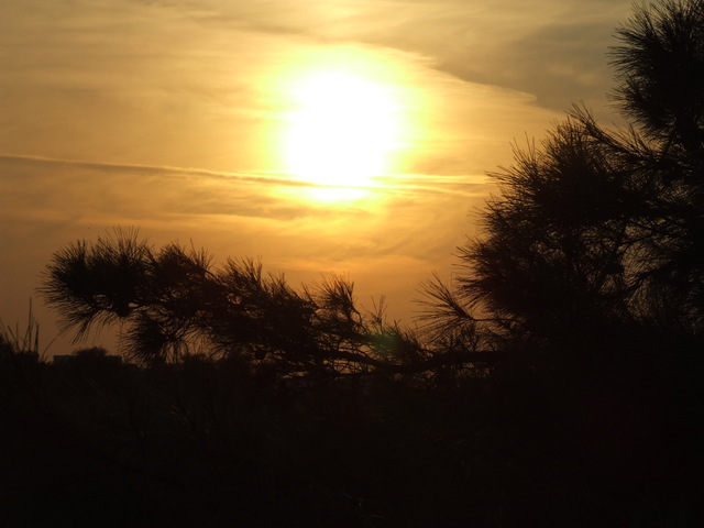 Dscf5988