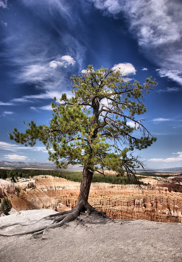 Bryce Canyon