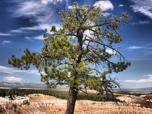 Bryce Canyon