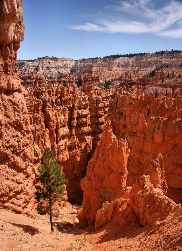 Bryce Canyon