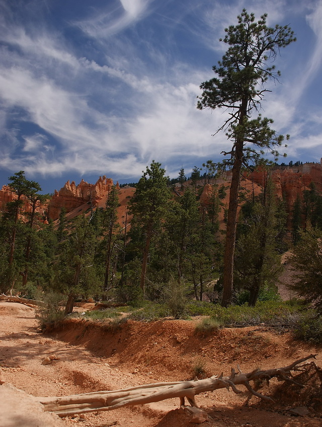 Bryce Canyon