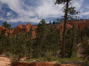 Bryce Canyon