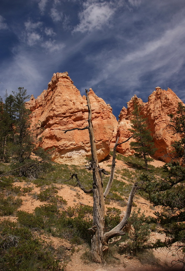 Spacer po Bryce Canyon