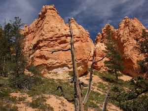 Spacer po Bryce Canyon