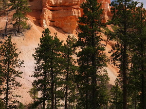 Bryce Canyon