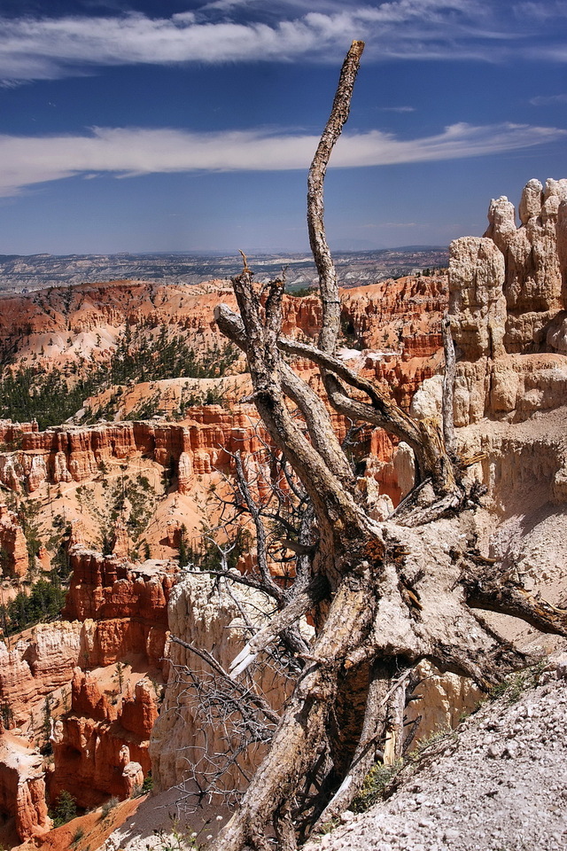 Bryce Canyon
