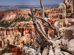 Bryce Canyon