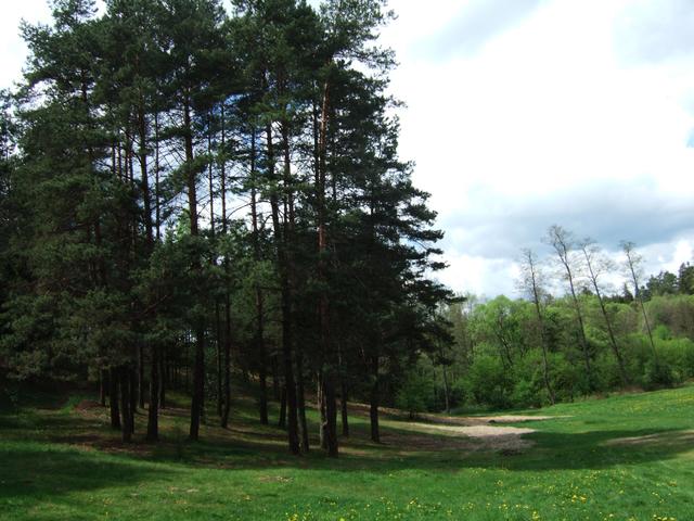 Roztocze