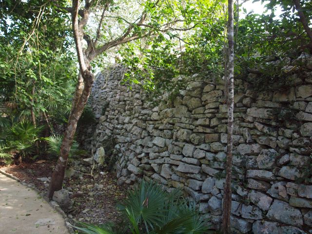 Mur wokół ruin