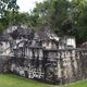 Ruiny Tikal