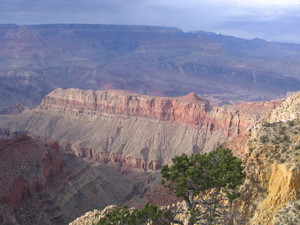 Grand canyon  41 