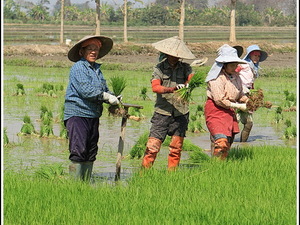 Chiang Rai