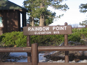 Rainbow point   1 