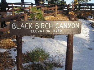 Black birch canyon  2 