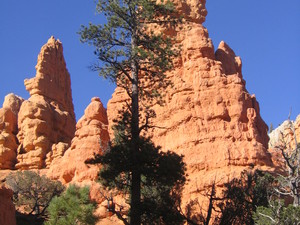 Red canyon  5 