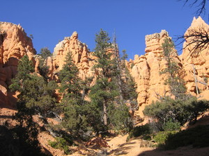 Red canyon  7 