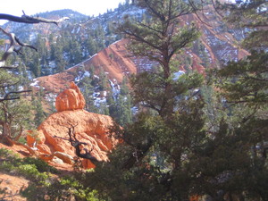 Red canyon  9 