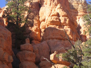 Red canyon  10 