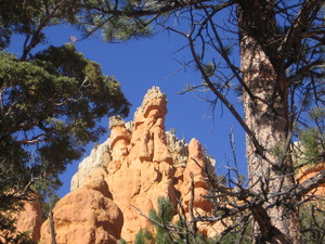 Red canyon  12 