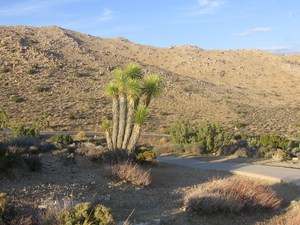 Coachella valley  6 