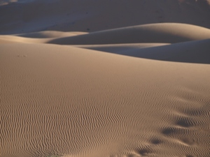 Erfoud - na pustyni