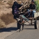 Marokańczycy - lokalny transport