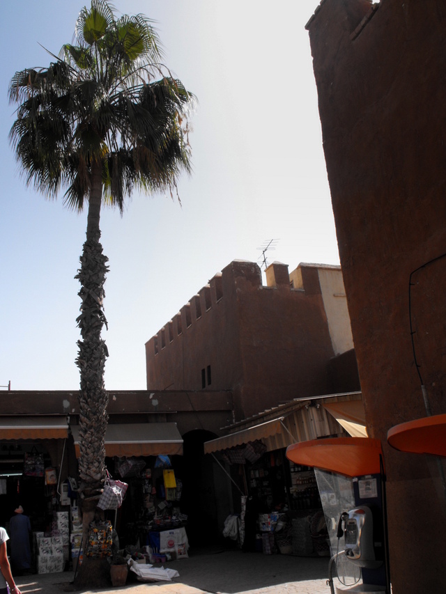 551199 - Agadir Pierwszy dzień w Agadirze
