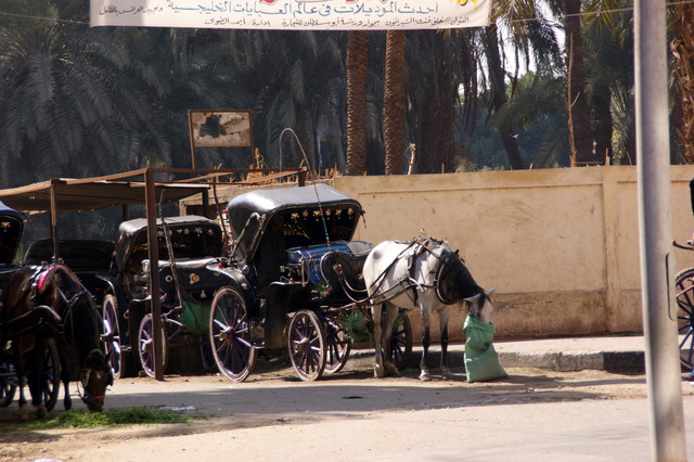 Luxor 01 11 207