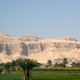 Luxor - rejs po Nilu  01 11 247