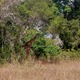 Shimba Hills Kenia  luty 2009