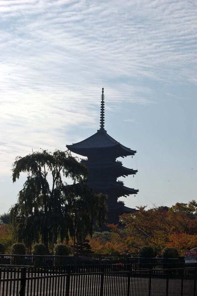 Kyoto, Pagoda Toji