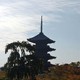 Kyoto, Pagoda Toji