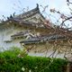 Zamek Białej Czapli w Himeji
