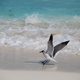 Cancun