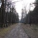 Kampinoski Park Narodowy - Główny Szlak 2012 - 03